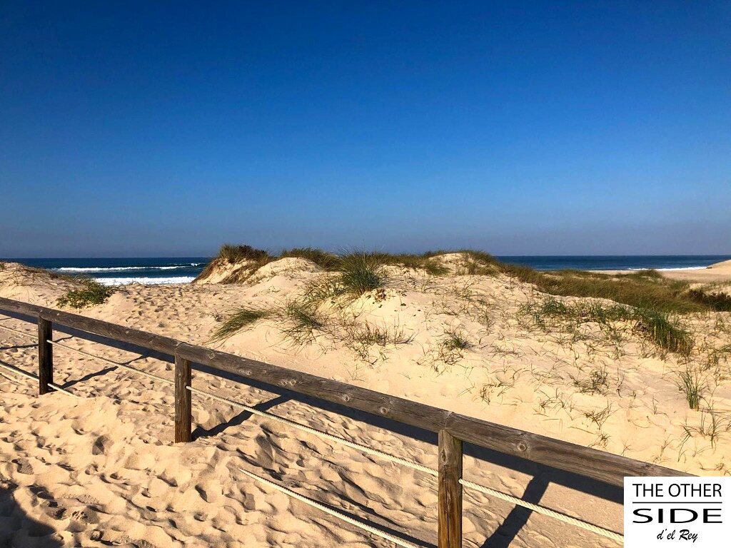 Dunes sauvages au-dessus de l’océan
