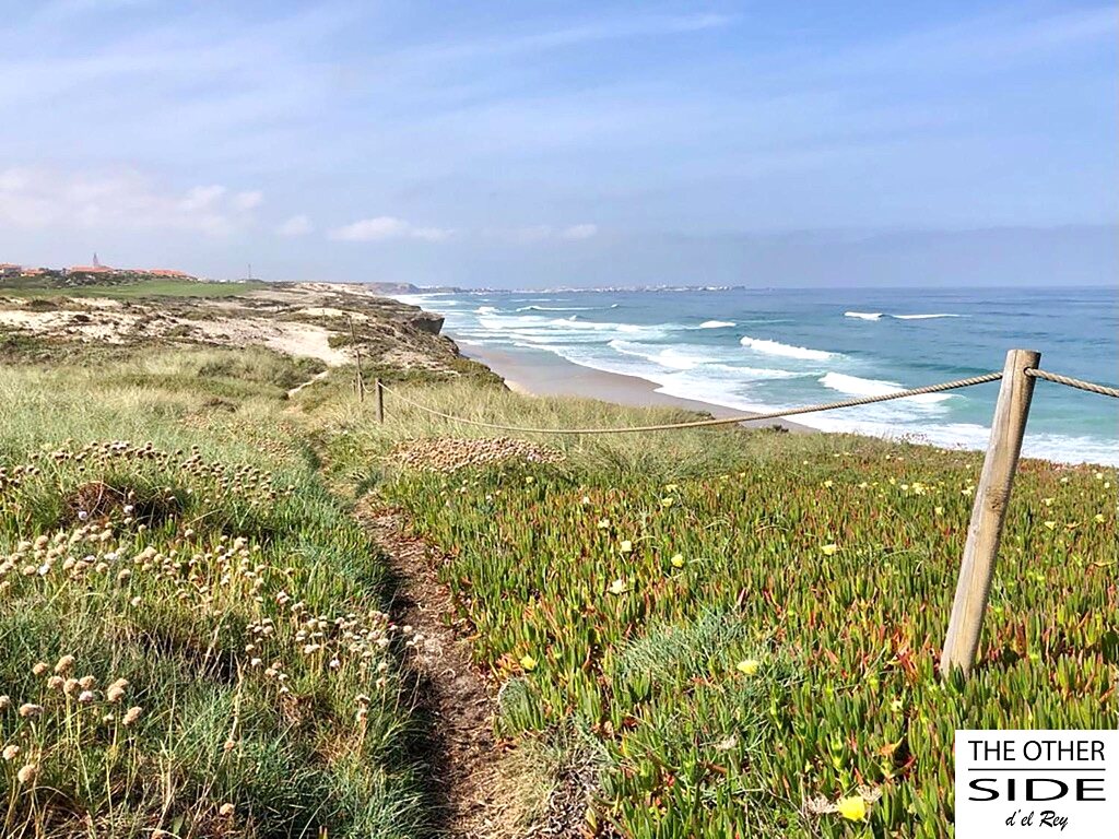 Sentier côtier au milieu de la végétation